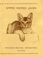 Abyssinian Kitten Buyer´s Guide_1